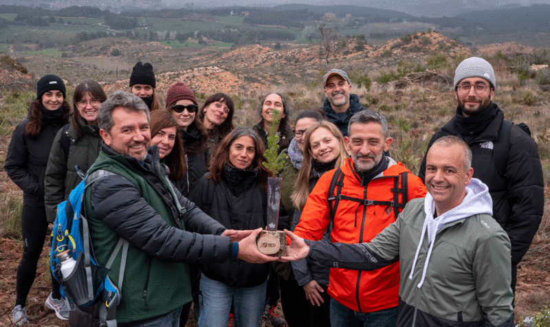 Staff del IED Barcelona en la plantada de árboles en la Serra de Queralt con Plant for the Planet